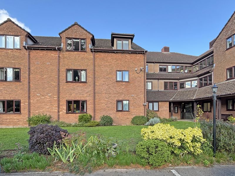 Main Image